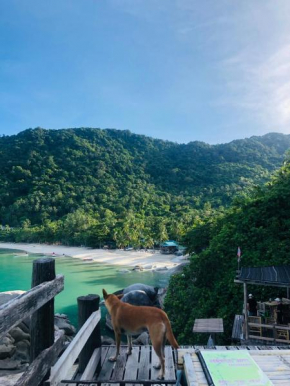 Bambu Huts